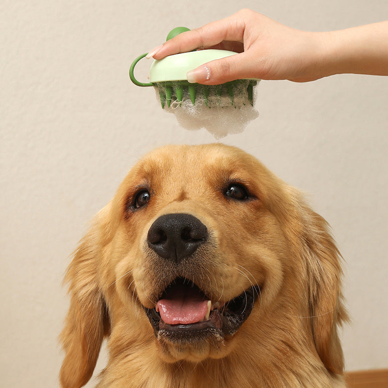 Brosse pour animaux de compagnie