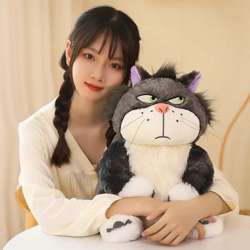 Peluche chat sera votre nouveau compagnon de câlin