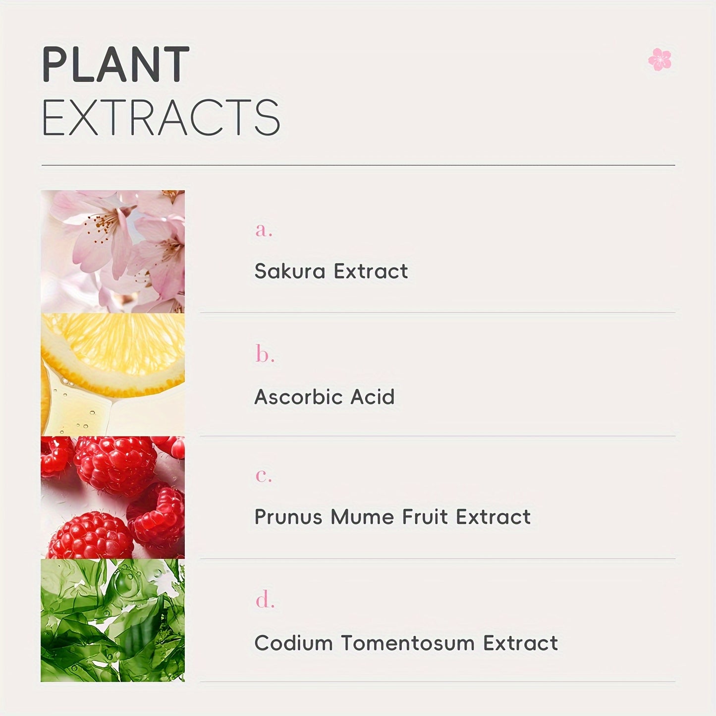Nettoyant visage mousse à la sakura pour un nettoyage en profondeur sans agresser la peau.