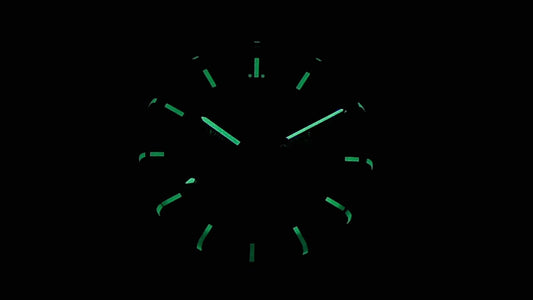 Montre PAGANI pour homme